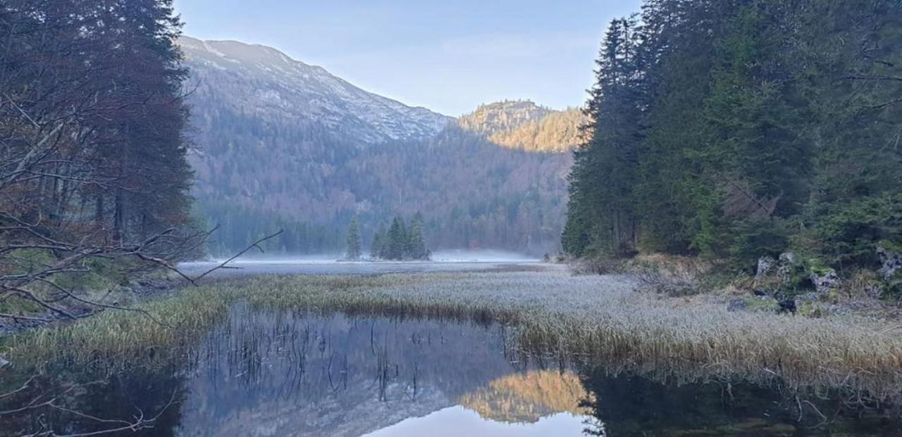 Ledererhof Lunz Am See Esterno foto
