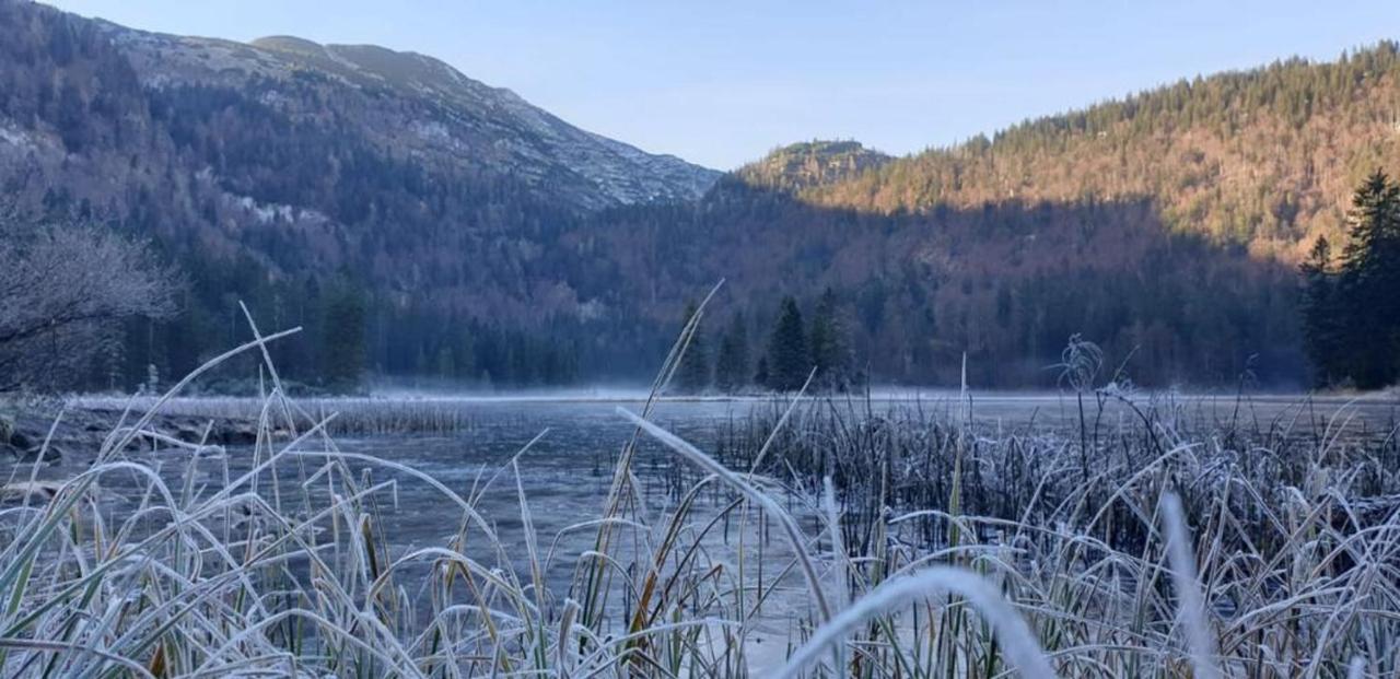 Ledererhof Lunz Am See Esterno foto